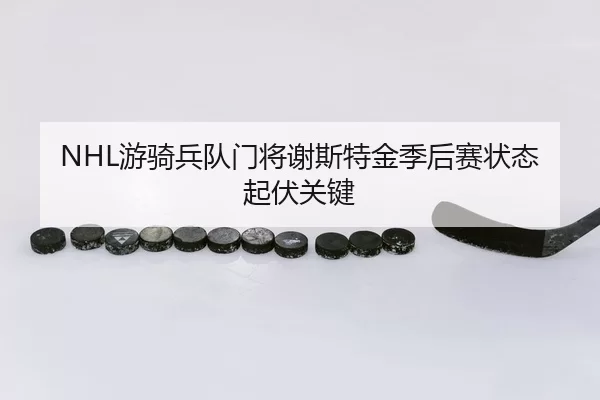 you-qi-bing-dui-men-jiang-xie-si-te-jin-ji-hou-sai-zhuang-tai-qi-fu-guan-jian-3-437.jpg