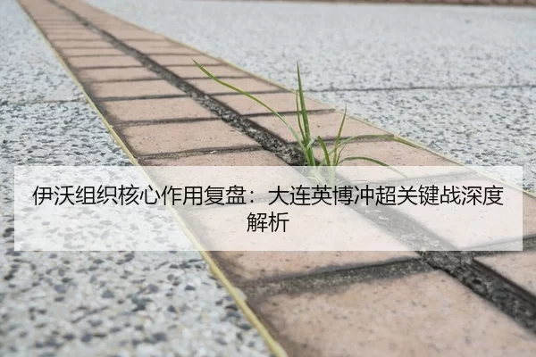 伊沃组织核心作用复盘：大连英博冲超关键战深度解析
