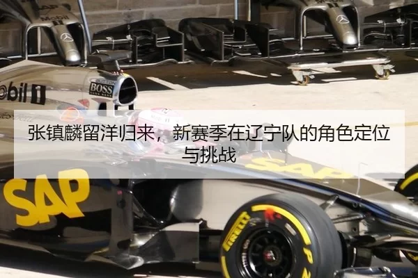 张镇麟留洋归来，新赛季在辽宁队的角色定位与挑战