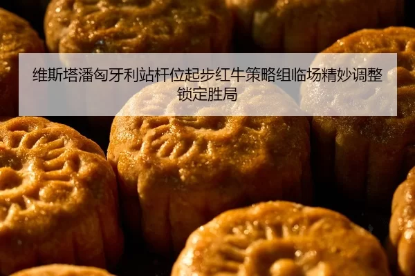 维斯塔潘匈牙利站杆位起步红牛策略组临场精妙调整锁定胜局