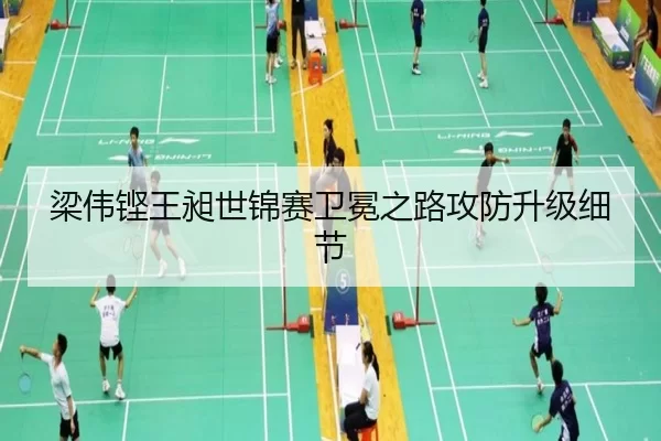 梁伟铿王昶世锦赛卫冕之路攻防升级细节