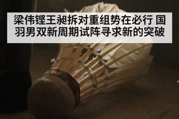 梁伟铿王昶拆对重组势在必行 国羽男双新周期试阵寻求新的突破